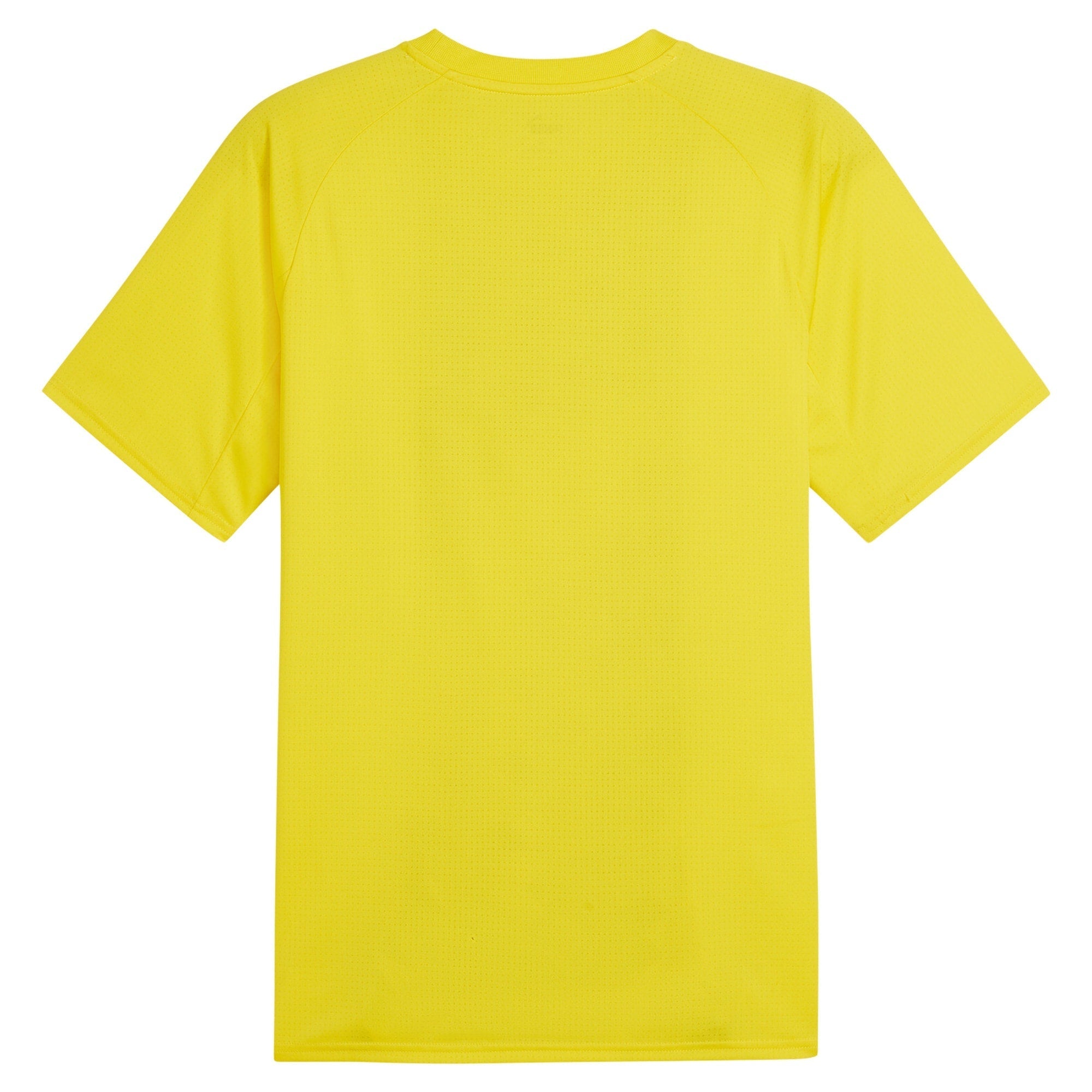 Borussia Dortmund Puma 2023/24 Pre-Match Authentic T-shirt - Yellow