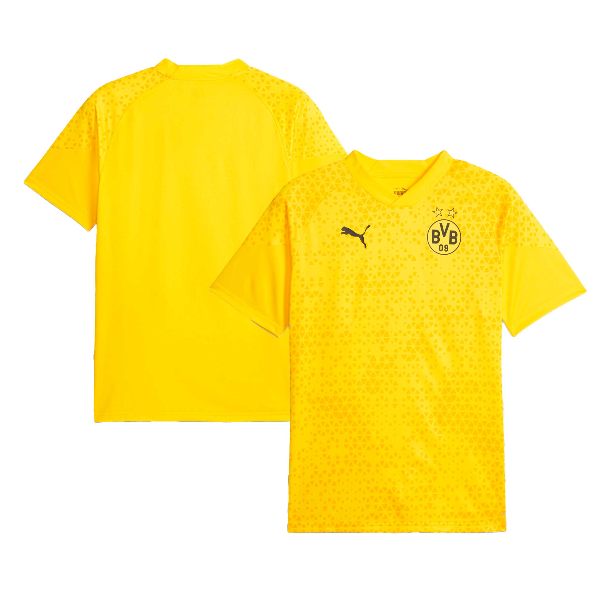Borussia Dortmund Puma 2023/24 Training Authentic T-shirt - Yellow