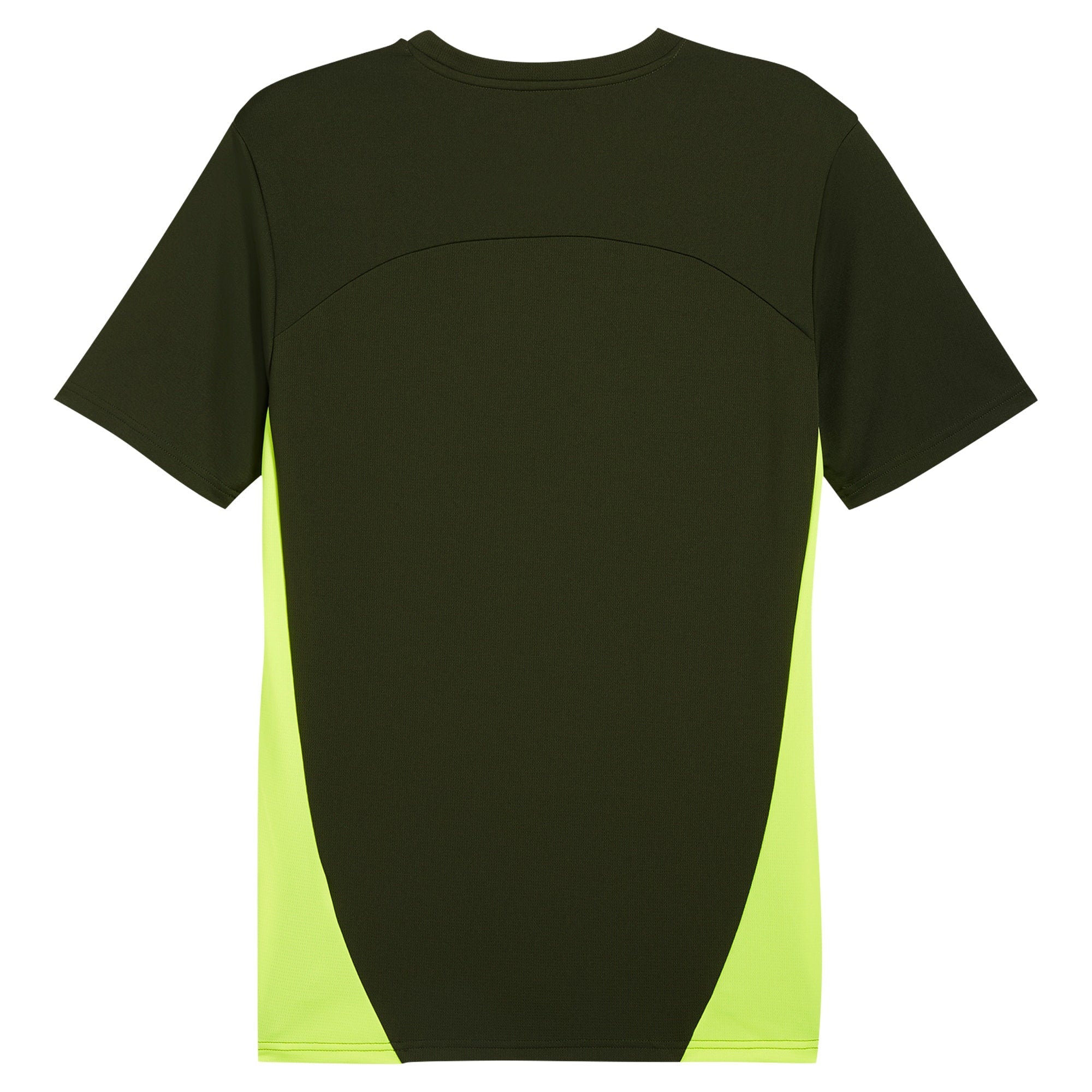 Borussia Dortmund Puma 2024/25 Training Authentic T-shirt - Green