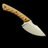 RMJ Tactical Small Fixed Blade Straight Knife – 3.54" USA-10 Steel Titanium Coated Blade – Dual-Color G10 Handle Combat EDC